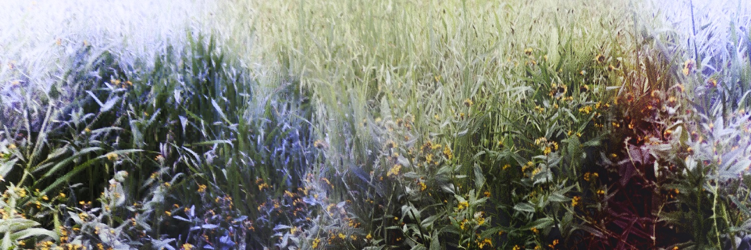 1000kilobytes header