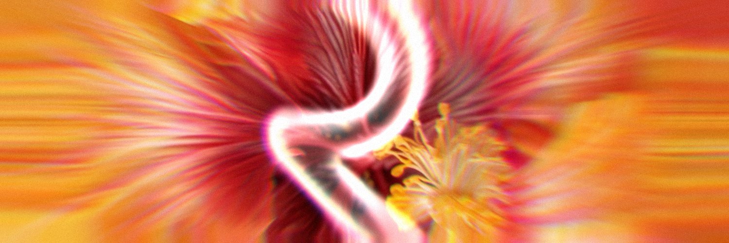 tomthings2 header