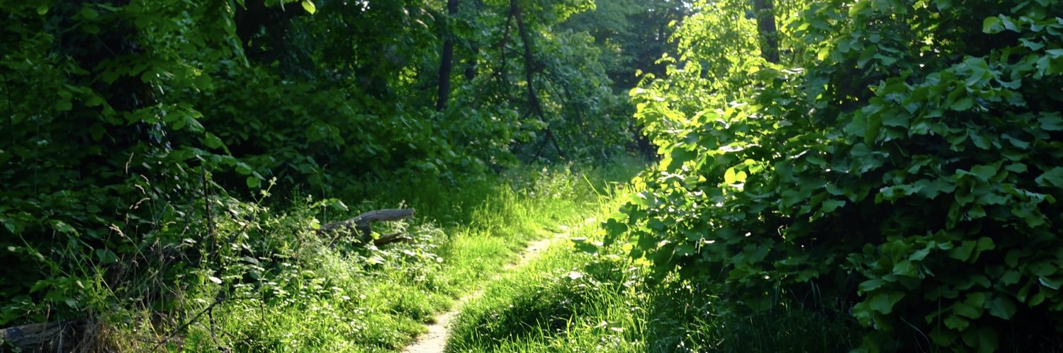 kosta4a header