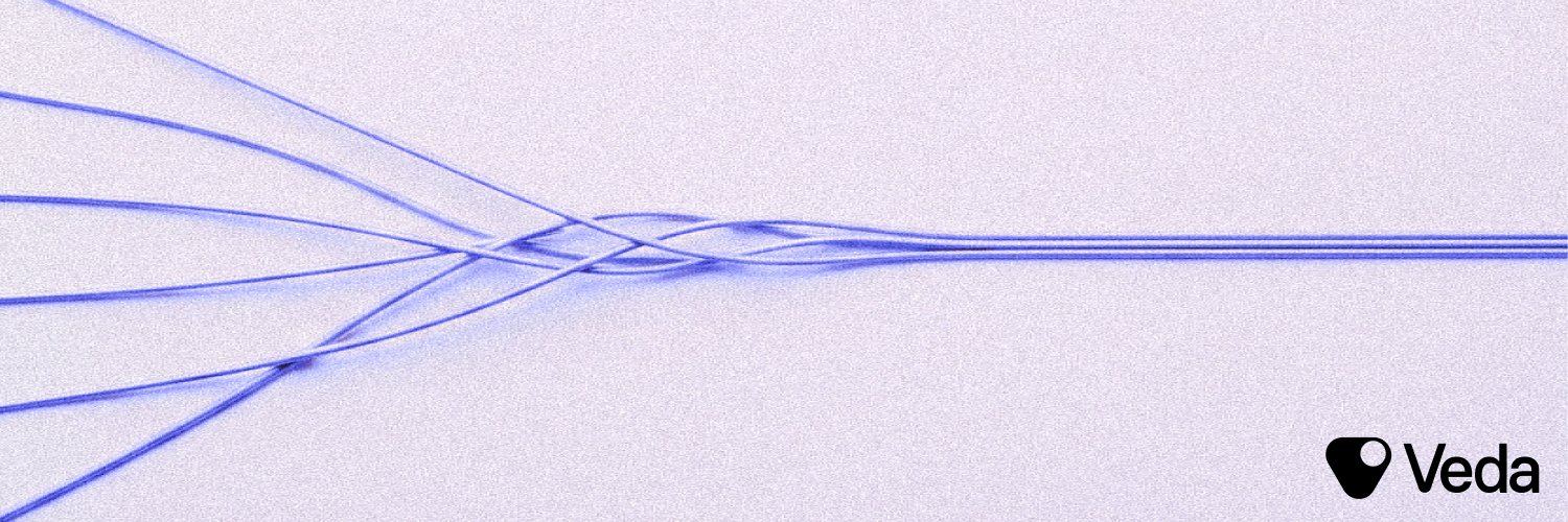 veda_labs header