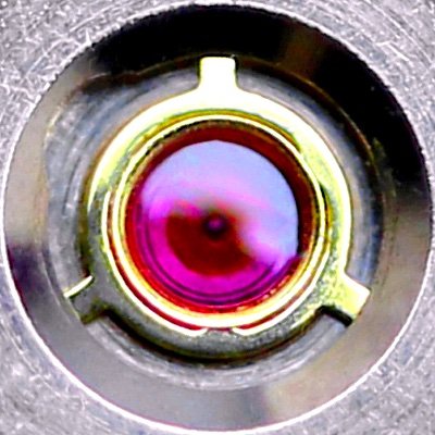 dankuntz profile picture