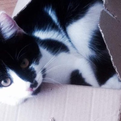 qirkl profile picture