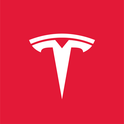 tesla profile picture